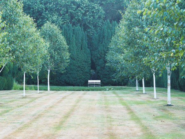 Garden seating as a focal point