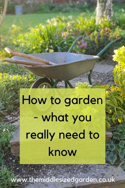 The basics of gardening