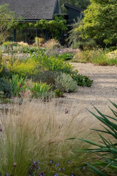 Dry garden at Beth Chatto gardens