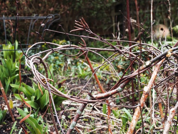 Ease the silver birch twigs into shape