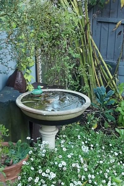 A birdbath is essential for wildlife friendly gardening