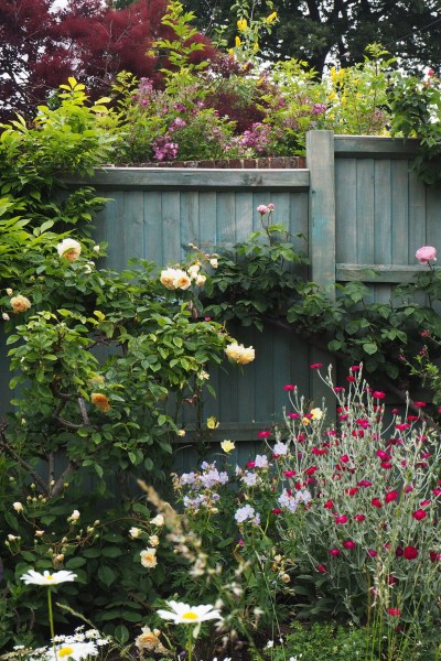 Paint fences in town gardens