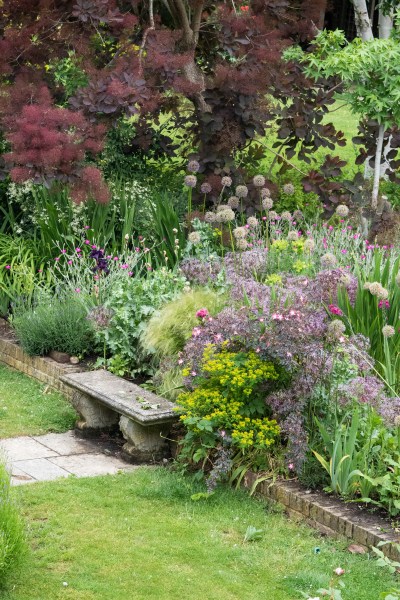 June is the best time for self-seeded gardens