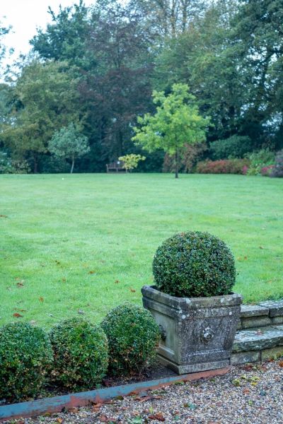 Box edging for a lawn