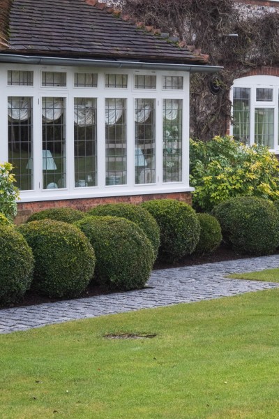 Easy topiary shapes line the path