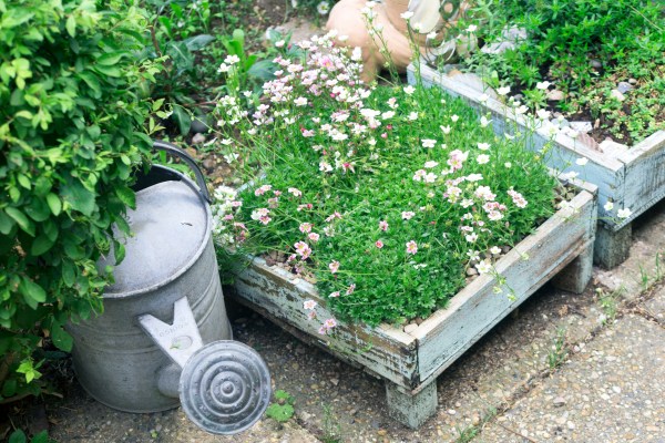 Search charity shops for garden pots and tools