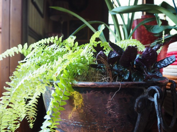 Textured brass indoor garden pot