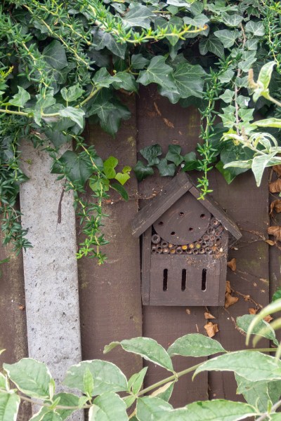 Bug hotel