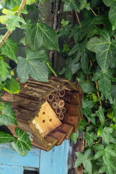 Bug hotel