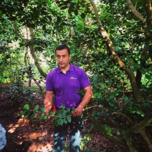 Dominique Cousin demonstrating transparent pruning