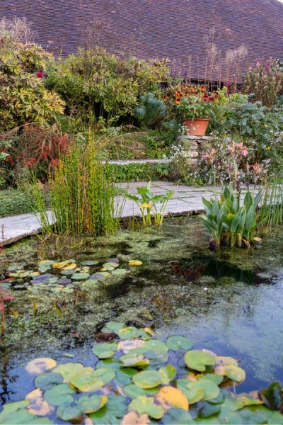 The Pond in the Barn Garden