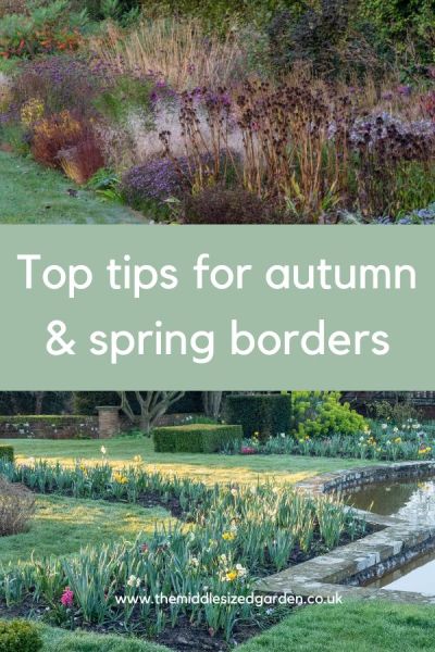 Essential border maintenance for spring and autumn