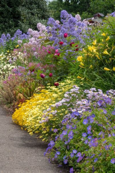 Deadhead flowers to keep plants blooming for longer