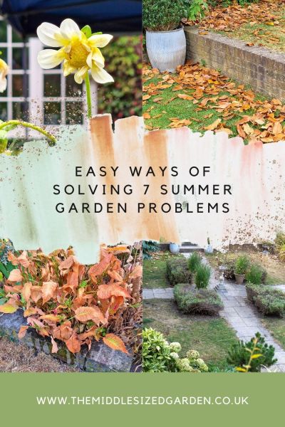 easy ways of solving 7 common summer garden problems