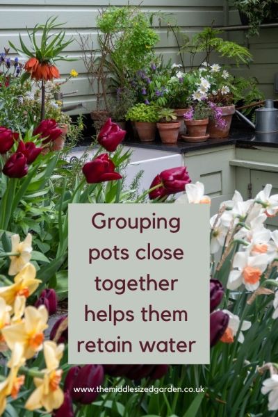 Group pots together to save water