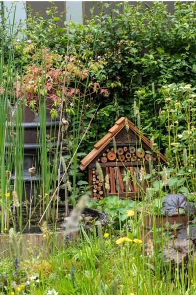 Wild weed and wildflower strip at RHS Chelsea 2023