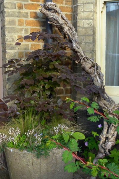 Arrange trees in pots for a tree theme.