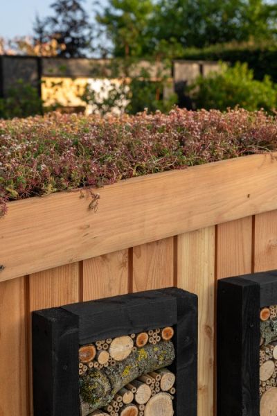 A bin store with a green roof and decorative bug hotel panels on Tom Massey's Resilience Garden.