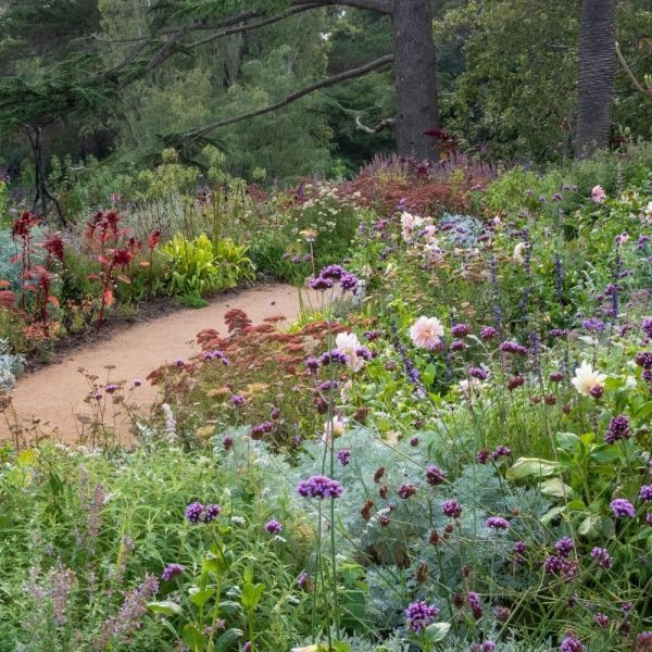 Cottage gardens at Heronswood, The Diggers Club