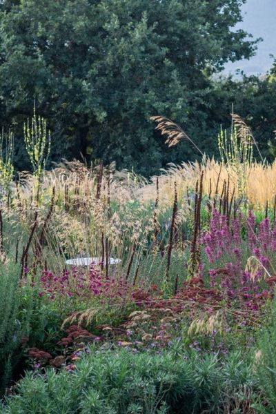 Choose plants for their seedhead