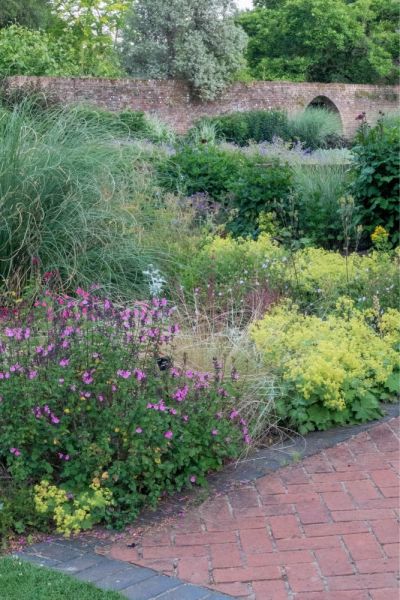 Salvia Rolando and Moon Gate