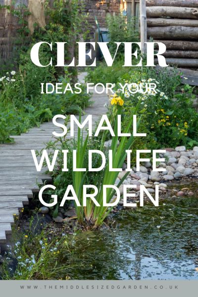 Ideas for a small wildlife garden