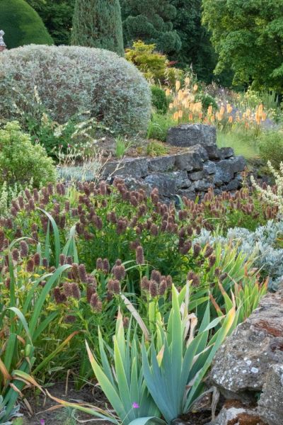 Planting for a rock garden