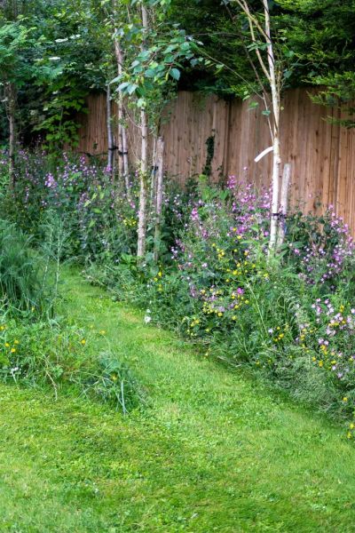 Use seed to restore a neglected lawn