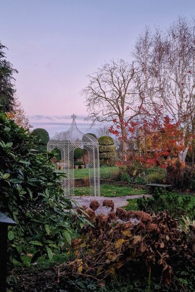 Autumn and winter are good times to prune trees.