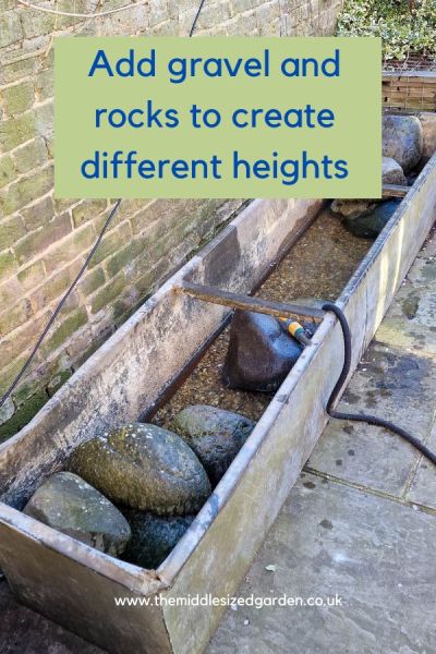 Fill your container pond with rocks or stones to create different heights