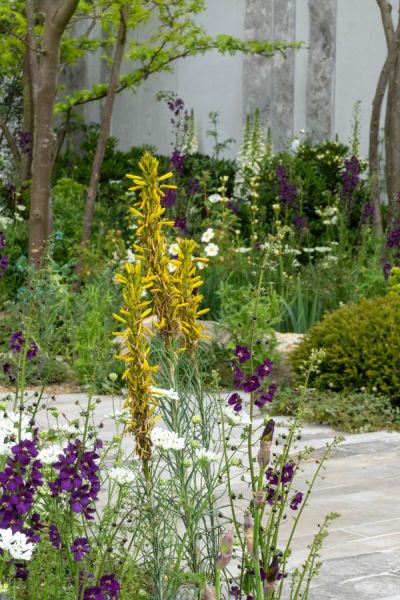 Pale grey fencing in the Memoria and Transcendence garden