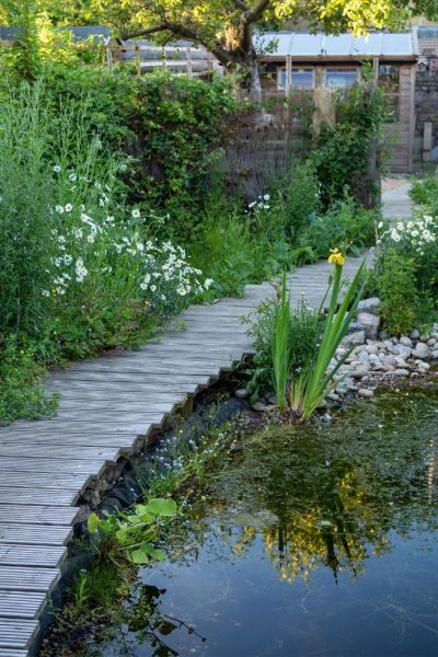 A small wildlife garden in a Victorian terrace