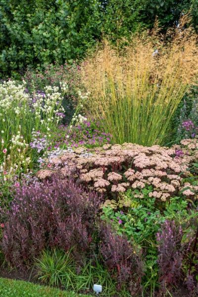 How to partner plants in a perennial border