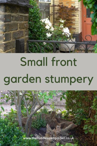 How to create a mini stumpery