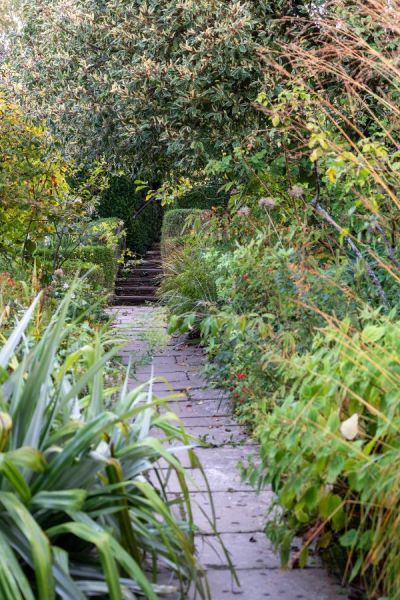 Shrubs and path at Great Dixter