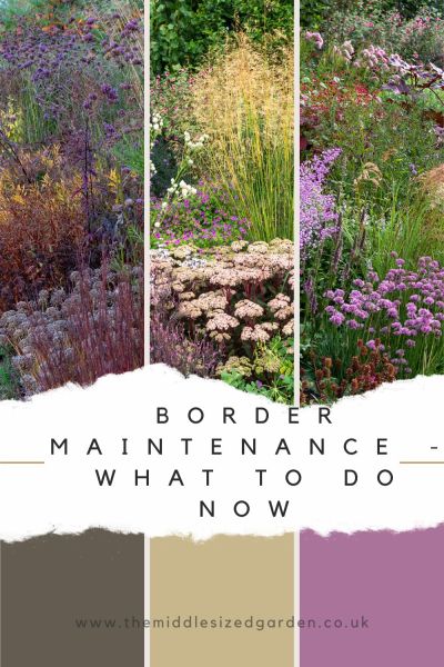 Essential border maintenance tips