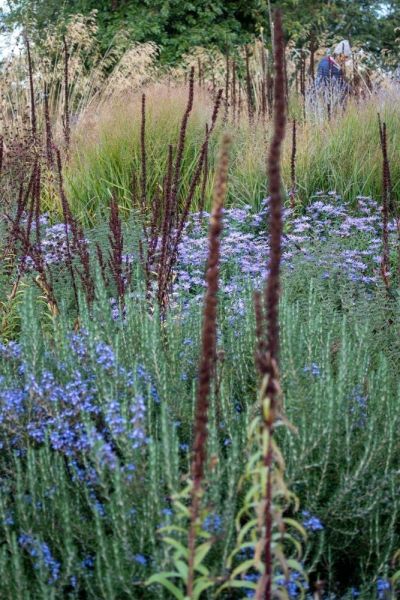 The three elements of a naturalistic planting