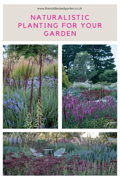 Texture and colour in Michael McCoy's naturalistic borders