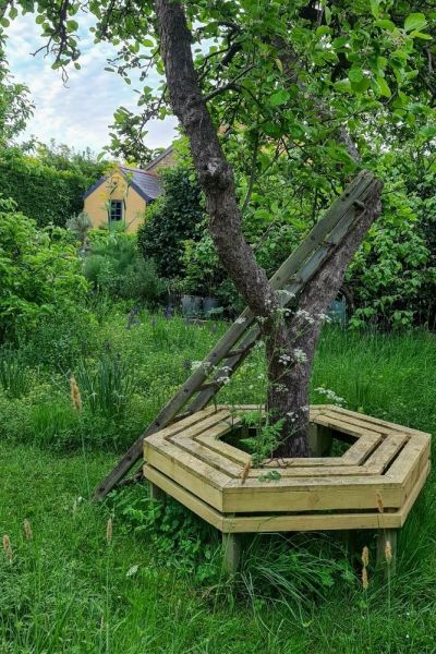 Bench in meadow area