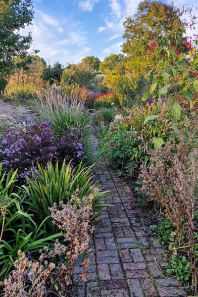 Make space for new plants in a border