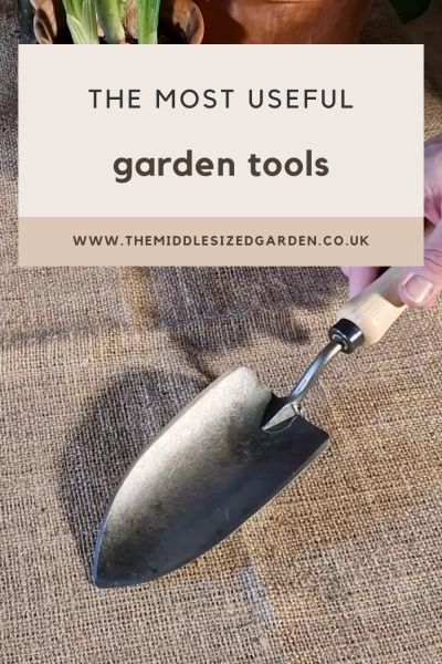 A hand trowel is the most useful garden tool