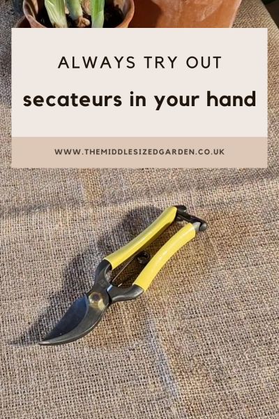 Always try secateurs or pruning shears out in your hand