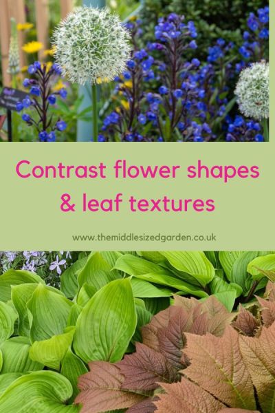 Choose plants which have contrasting leaf or flower shapes, textures or colours.