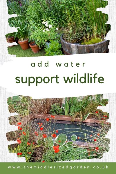 Add a pond to your garden to support wildlife