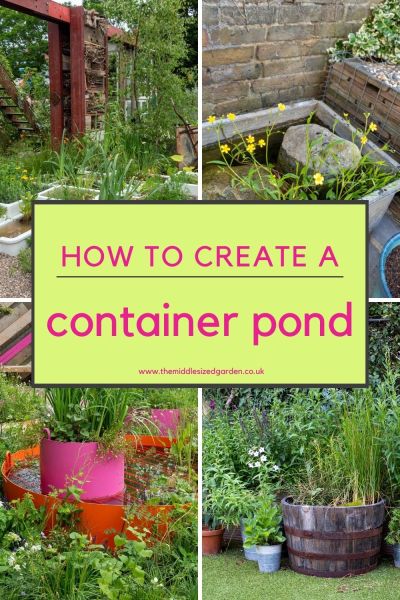 Container pond tips and ideas