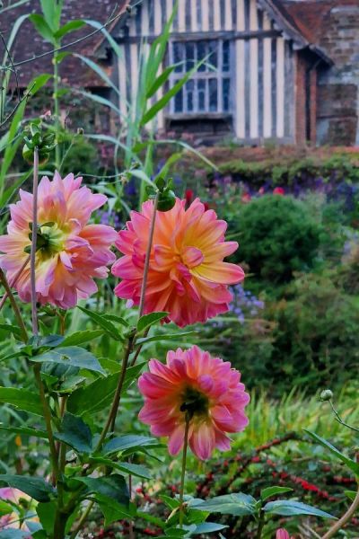 Great Dixter is a sustainable and biodiverse garden