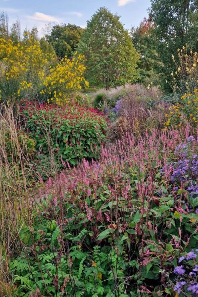 Late season borders at Marchants