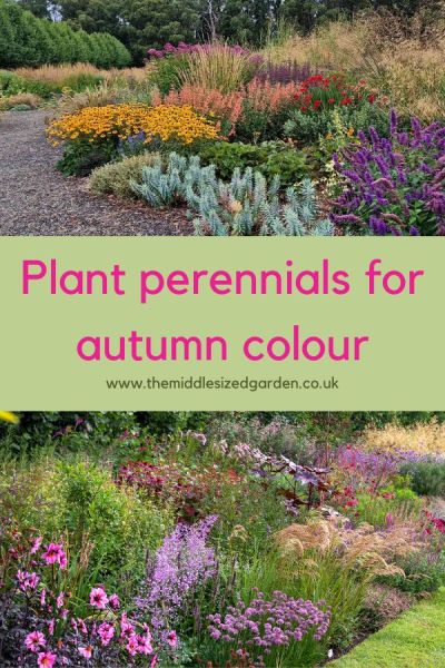 Plant perennial borders for fabulous fall colour