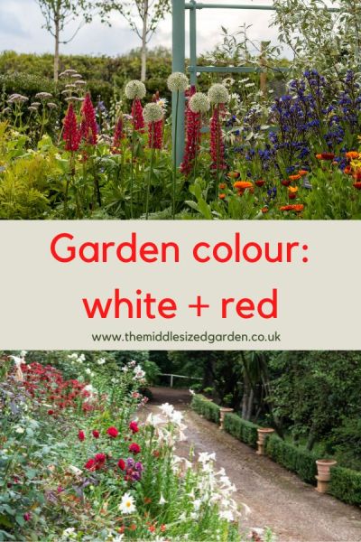 Red and white border schemes