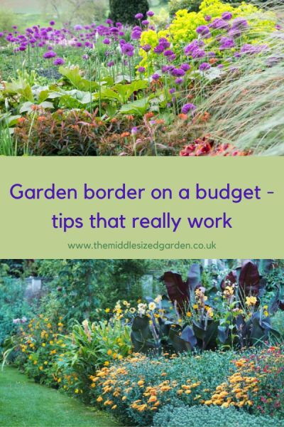 Garden border on a budget - showing how much each tip will save